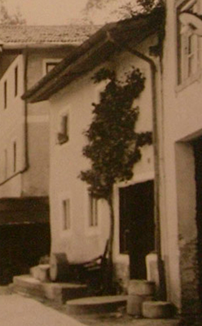 Berggasse 28